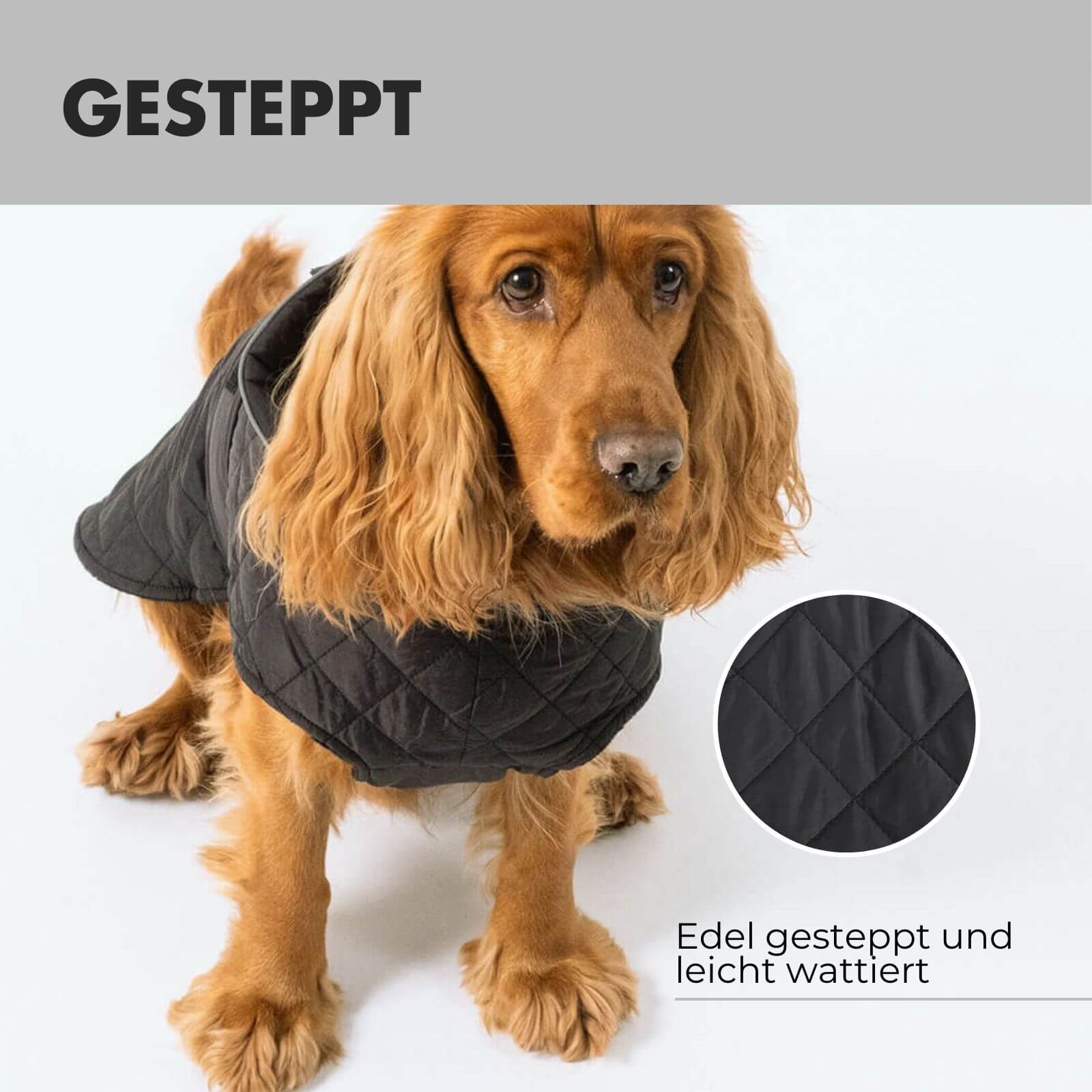 Hundejacke FRITZ Schwarz