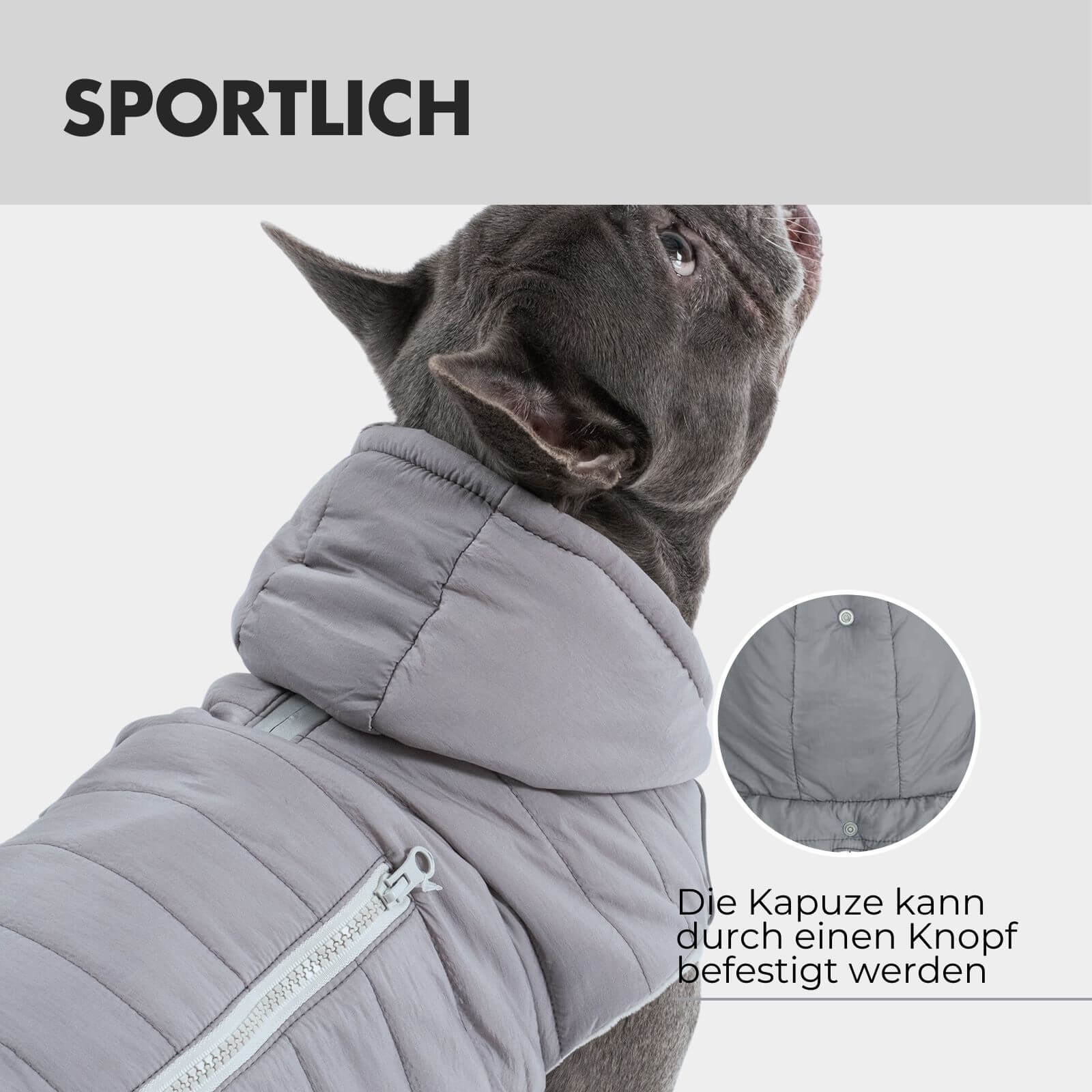 Hundejacke IMMI Grau