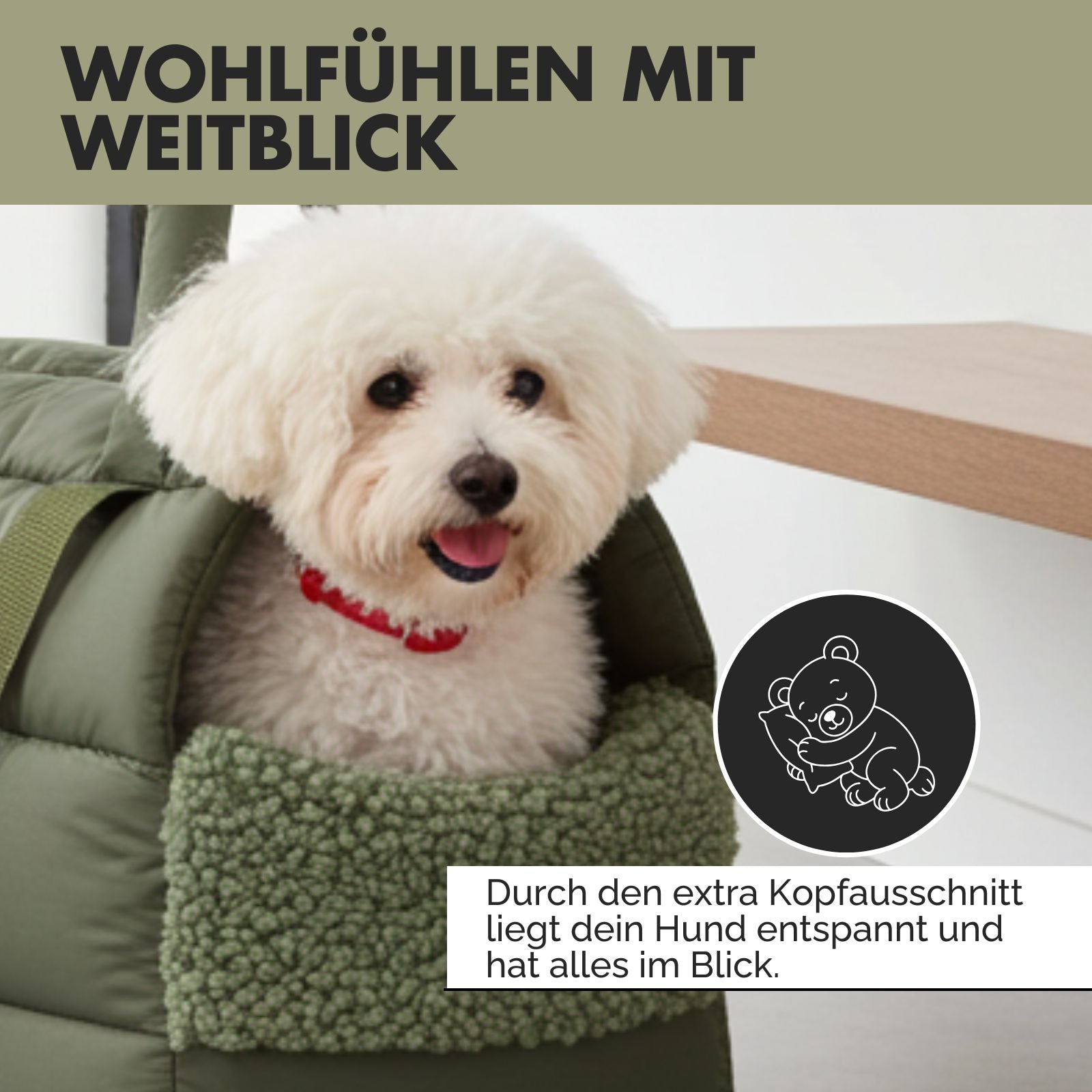 Hundetragetasche SARA Olive