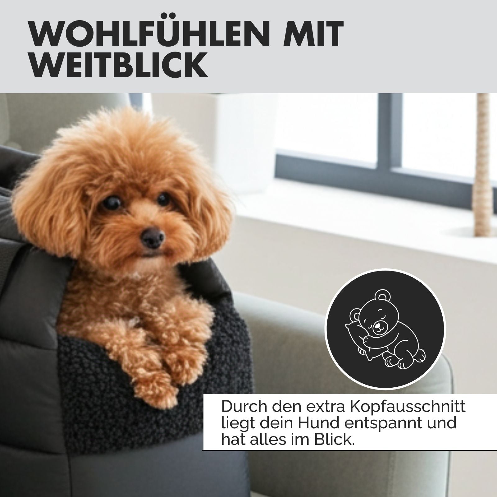 Hundetragetasche SARA Schwarz